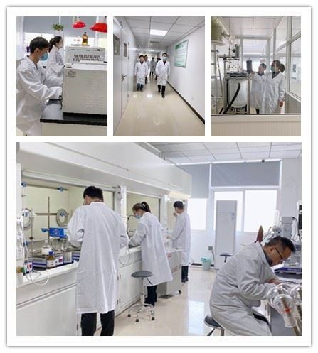 CAS 26456-05-3 | 10-methylacridin-10-ium,perchlorate