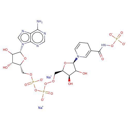 CAS:606-68-8|베타-니코틴아미드 아데닌 디뉴클레오티드, 이나트륨 염