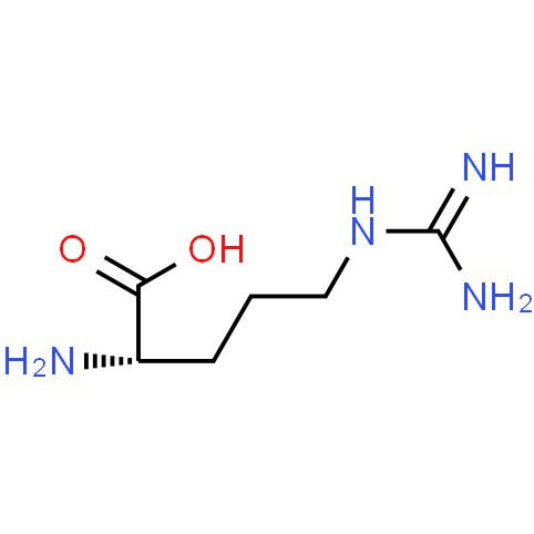 CAS:74-79-3|L(플러스)-아르기닌