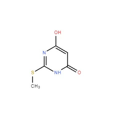 CAS 1979-98-2|2-메틸티오-4,6-피리미딘디온