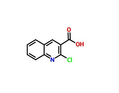 CAS 73776-25-7 2-클로로퀴놀린-3-카르복실산