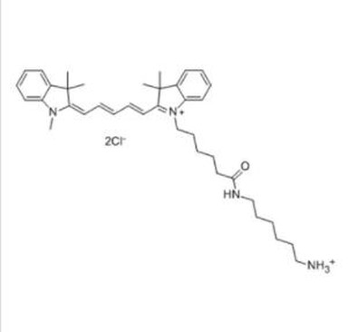 CAS:1807529-70-9丨Cyanine5 아민