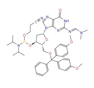 CAS:330628-04-1丨N4-(DIMETHYLAMINO)METHYLENE)-5'-O-(DIMETHOXYTRITYL)-2'-DEOXYGUANOSINE-3'-N,N- 디이소프로필(시아노에틸) 포스포라미다이트